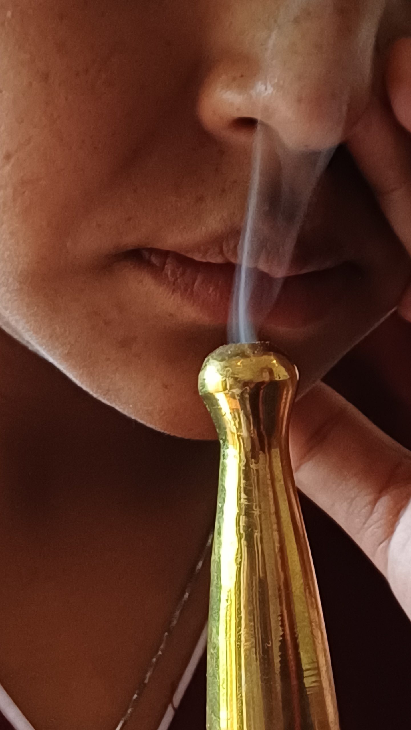 1 Night 2 Days Premium Stress Management Retreat