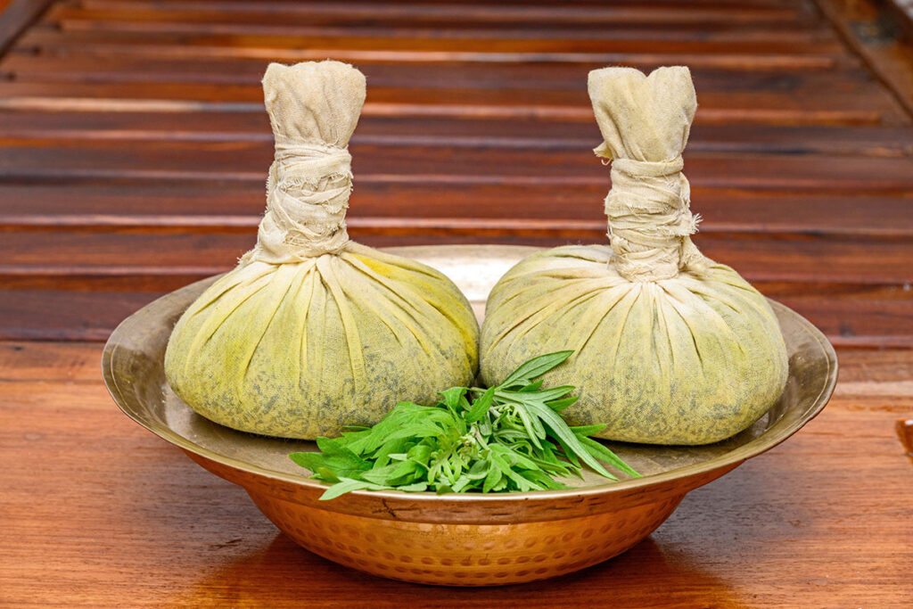 Authentic Ayurveda in Jungle-Immersive Himalayan Foothill Retreat Environment