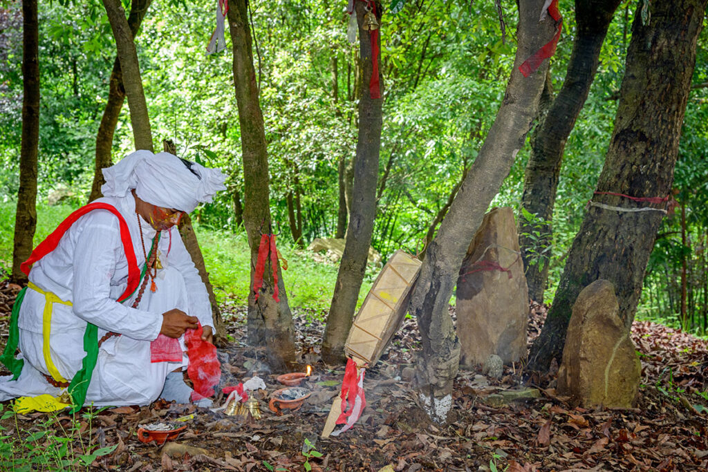 3 Days Shamanistic Mastā Healing