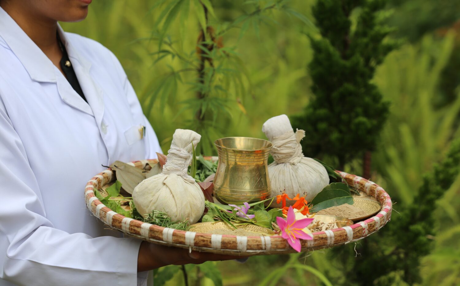 20 nights 21 Days रसायन  rejuvenation Panchakarma Retreat