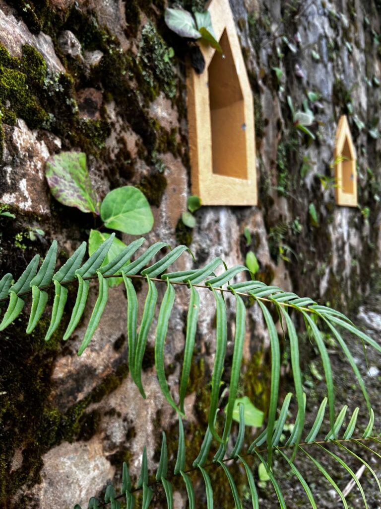 6 nights 7 Days षट्कर्म  shatkarma yogic detox retreat