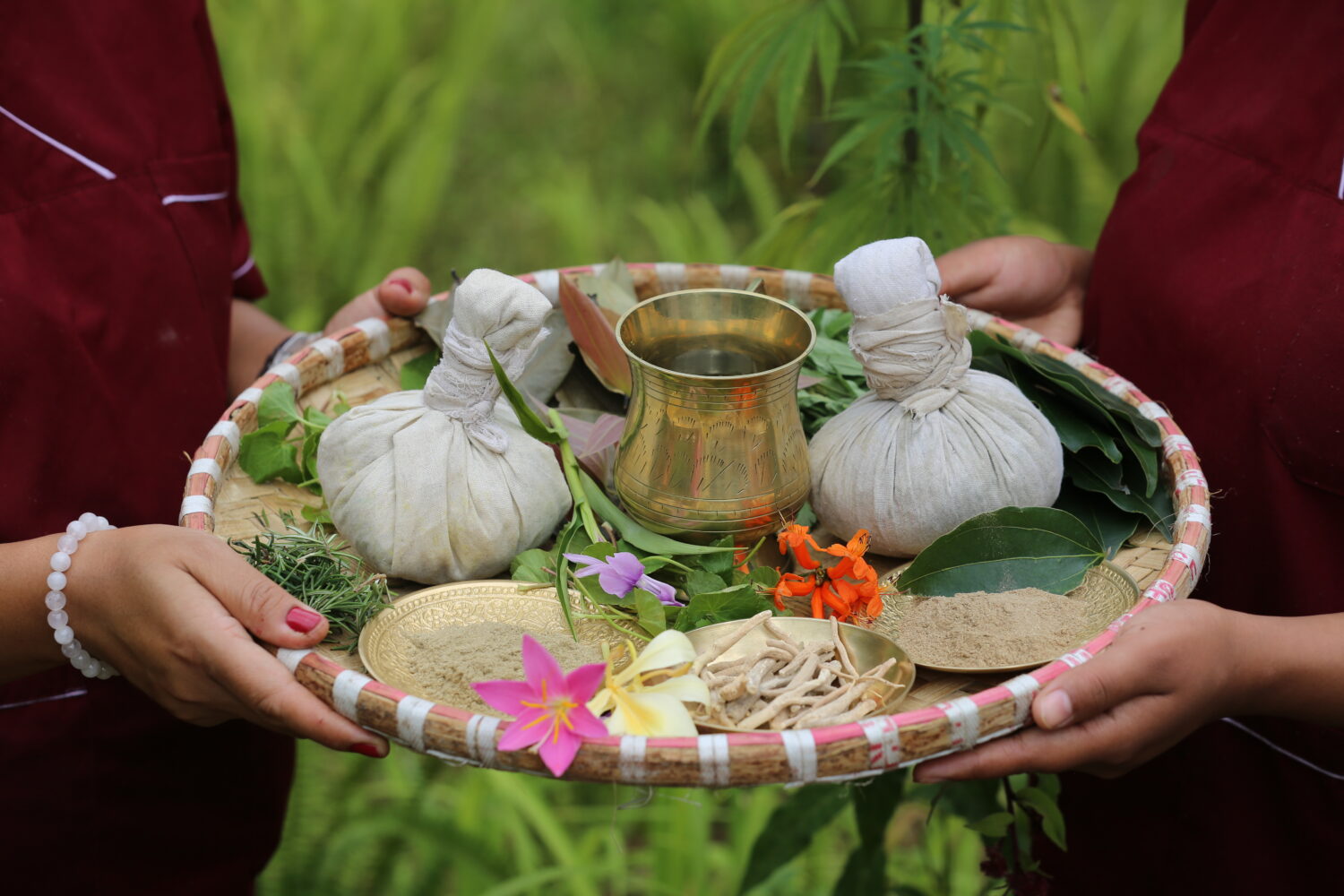 The Ultimate Guide to Authentic Himalayan Panchakarma: Why Nepal’s Mountain Retreats Outshine Kerala, Bali & Europe for Life-Changing Ayurvedic Detox